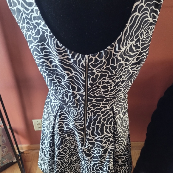 Black and White Beauty - Picture 6 of 7